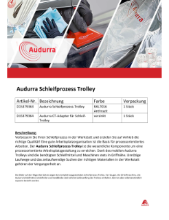 Audurra Schleifprozess Trolley