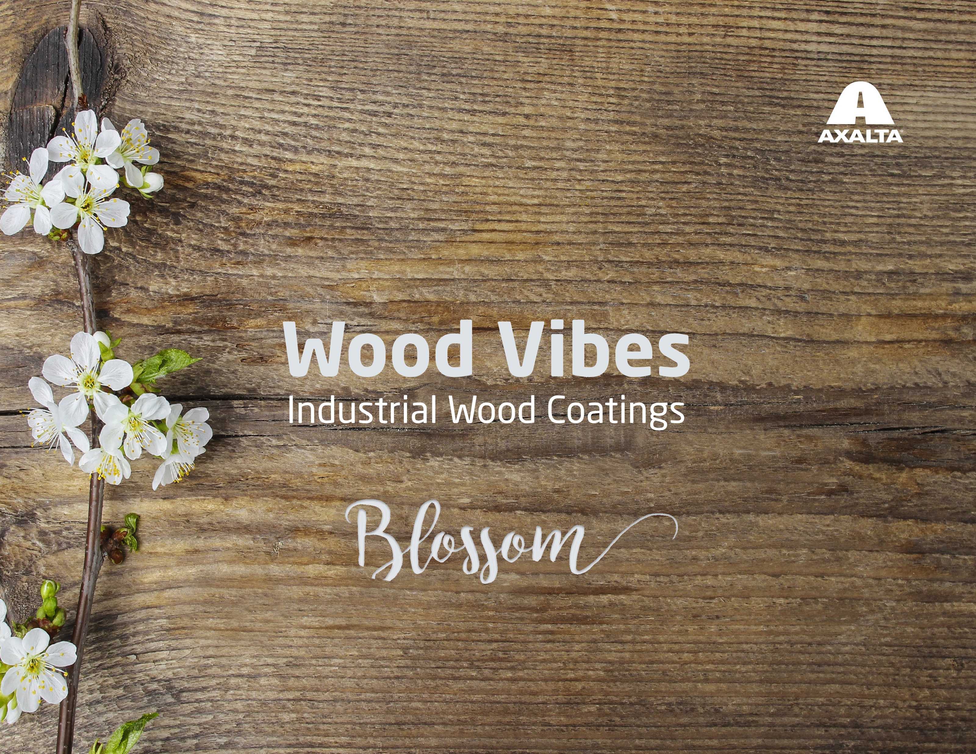 wood-vibes-blossom-2022-color-trends