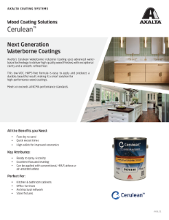 PIB_Cerulean_USLetter_Jun2024_EN_Interactive.pdf