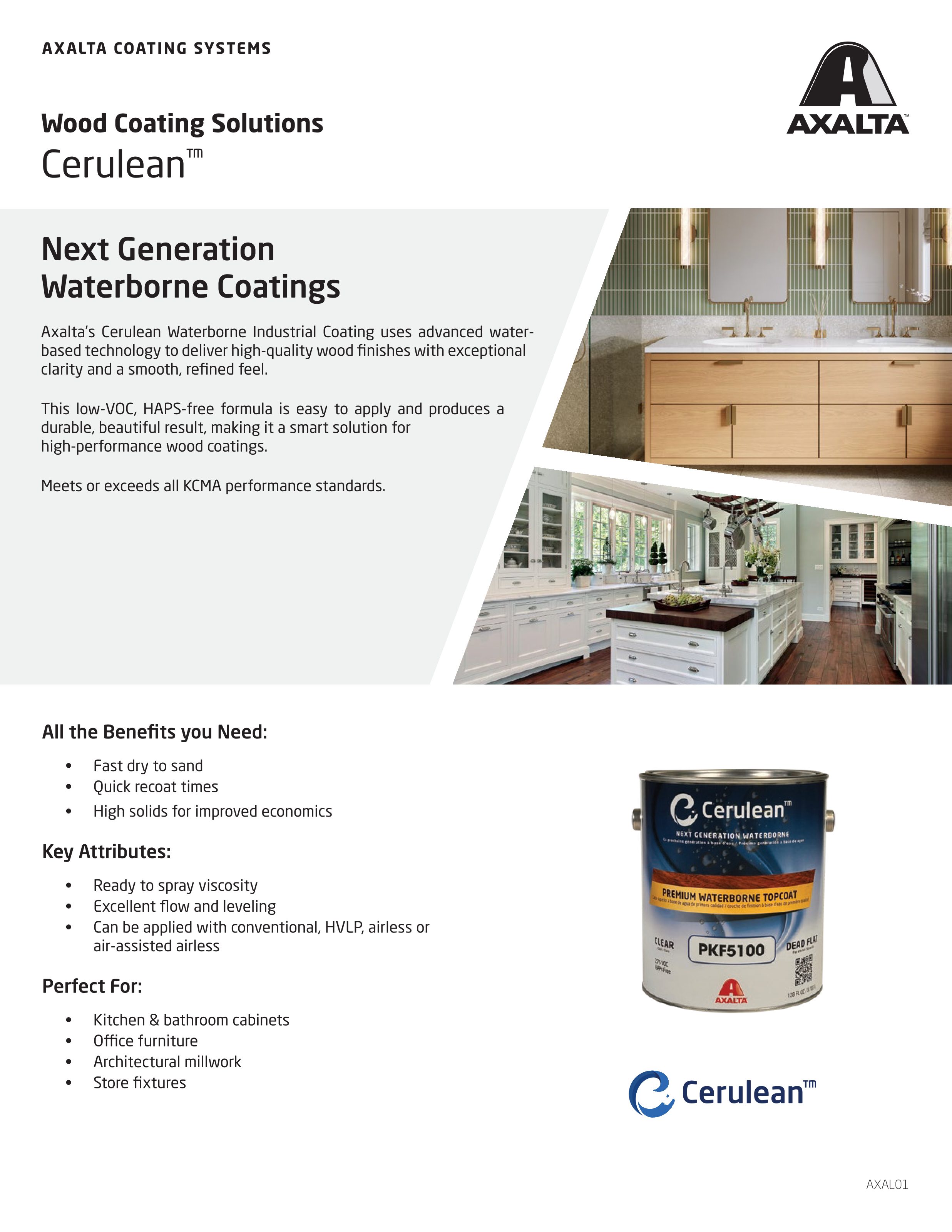 PIB_Cerulean_USLetter_Jun2024_EN_Interactive.pdf