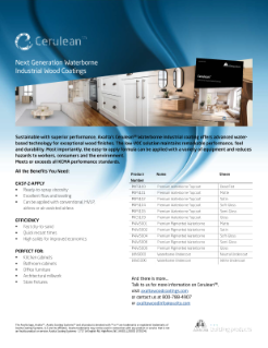 PIB_Cerulean_USLetter_Jun2024_EN_Interactive